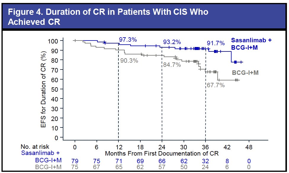 Among patients with CIS, the CR rate at any time was 89.8% with sasanlimab plus BCG-I+M and 85.2% with BCG-I+M. The probability of maintaining a CR at 36 months was high in both groups, including 92% for sasanlimab plus BCG-I+M.