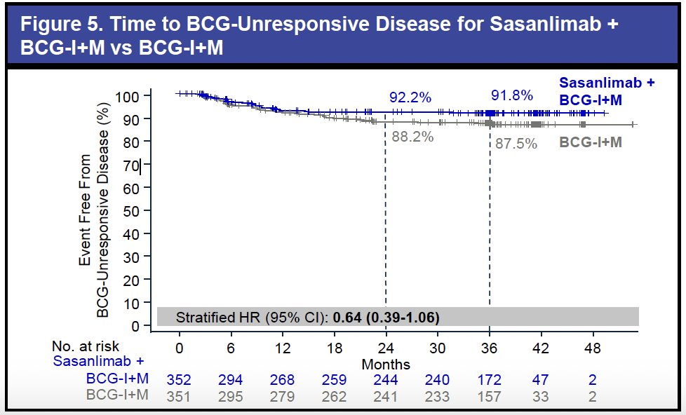 An exploratory analysis assessed the development of BCG-unresponsive disease. A lower proportion of patients in the sasanlimab plus BCG-I+M arm developed BCG-unresponsive disease (7.1% vs 11.1%), and time to BCG-unresponsiveness numerically favored the combination (stratified HR: 0.64; 95% CI: 0.39–1.06). These findings suggest that sasanlimab may delay progression to BCG-unresponsive disease, a clinical milestone associated with increased treatment burden and limited bladder-sparing options.