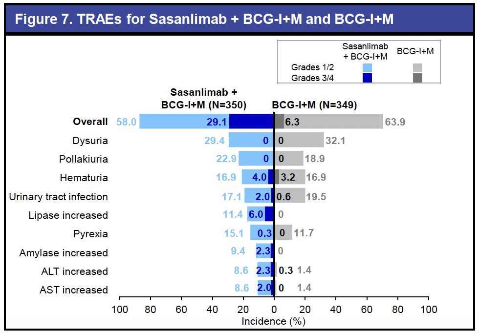 The safety findings were consistent with the established profiles of sasanlimab and BCG. There were no treatment-related deaths. Treatment-related adverse events (TRAEs) were observed in 58% and 64% of patients in the sasanlimab plus BCG-I+M and BCG-I+M arms, respectively. The most common TRAEs in both arms were dysuria (29–32%), pollakiuria (19–23%), and hematuria (17%).