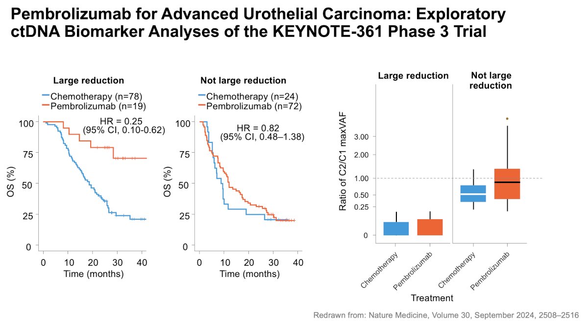 Whether ctDNA dynamics vary by treatment class remains a topic of ongoing investigation. Early data suggest that immune checkpoint inhibitors produce more variable ctDNA responses than chemotherapy, potentially reflecting delayed tumor clearance or immune-related fluctuations. In an exploratory analysis of KEYNOTE-36, ctDNA profiling demonstrated its ability to serve as a tumor tissue surrogate for genomic stratification and outcome prediction under pembrolizumab-based therapy.⁶&nbsp;
