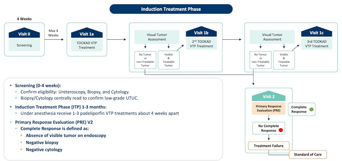 The ENLIGHTED induction and maintenance treatment schema is shown in the figures below.