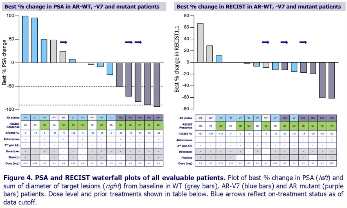 In a predefined subset of 5 heavily pretreated patients with AR mutations, responses were particularly notable. All 5 patients (100%) achieved a PSA response, including 2 PSA90 and 3 PSA50 responses. Two of five patients demonstrated RECIST partial responses (1 confirmed, 1 unconfirmed), while the remaining 3 had stable disease, resulting in a 100% disease control rate. Two patients remained on therapy for 10 cycles or longer, and 2 of 5 patients continued treatment at the time of data cutoff, further supporting the durability of benefit in this molecularly defined subgroup.