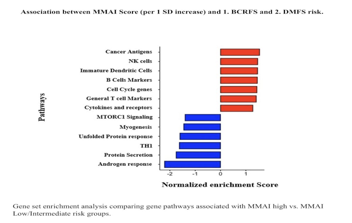 From a biological standpoint, higher MMAI scores were positively associated with immune-related transcriptional programs, including NK cell, B cell, and T cell signatures. In contrast, higher MMAI scores were negatively correlated with mTORC1 signaling, unfolded protein response, and androgen response pathways.