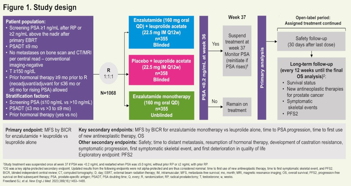 In EMBARK (NCT02319837), patients were randomized 1:1:1 to enza combo, leuprolide alone (LA), or enza mono. After 36 weeks of therapy, treatment was suspended in patients with PSA <0.2 ng/mL. This post hoc analysis evaluated the proportion of patients maintaining PSA <0.2 ng/mL at 12, 24, and 36 months following suspension, and assessed testosterone recovery to baseline, >175 ng/dL, and >250 ng/dL. The study design is presented below.