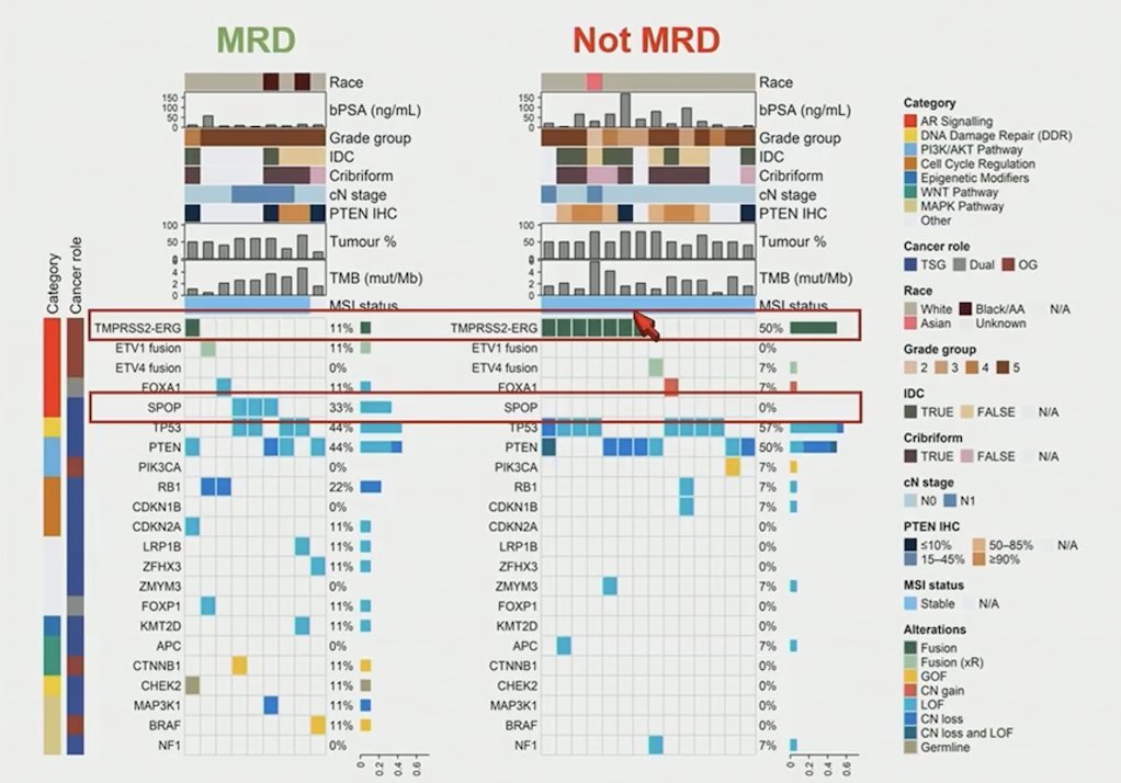 While genomic PTEN alterations&nbsp;were excluded from sub-protocol 1, men assigned to sub-protocol 1 who were later found to be PTEN-IHC negative were more likely to be non-minimal residual disease (6/7) than minimal residual disease (1/7), suggesting PTEN-IHC negative may reduce response to androgen receptor pathway inhibitor. Additionally, an SPOP mutation was associated with minimal residual disease, and T2E fusions with non-minimal residual disease in sub-protocol 2b: