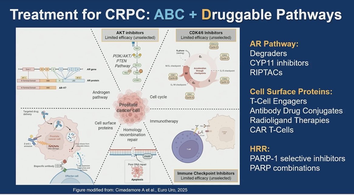 She emphasized that we are not ready to close the door on any of these pathways. While some agents have shown limited efficacy in unselected populations, there remains a clear biologic rationale and ongoing investigation aimed at better patient selection, rational combinations, and optimized sequencing. The field is moving toward increasingly precise targeting of tumor biology, rather than abandoning pathways prematurely based on early-generation results.