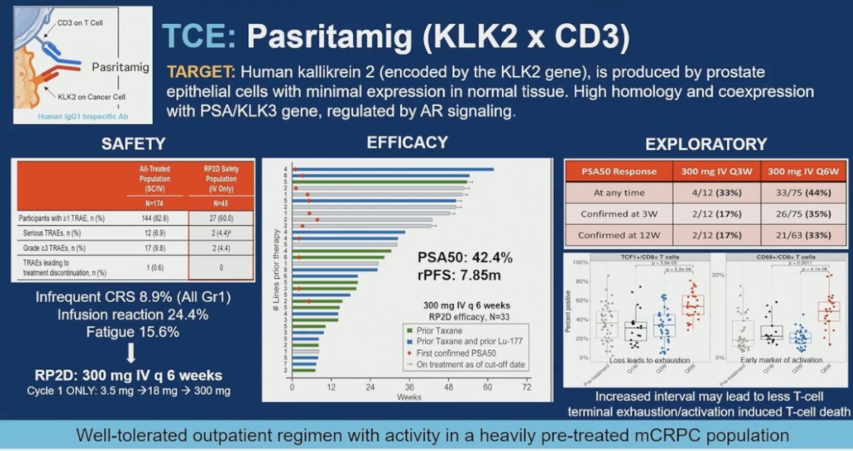 Another T-cell engager in development is pasritamig (KLK2 × CD3), targeting KLK2, a prostate-restricted antigen regulated by AR signaling. In a heavily pretreated mCRPC population, including patients previously exposed to taxanes, pasritamig demonstrated a PSA50 rate of 42.4% and a median rPFS of 7.85 months. Cytokine release syndrome was infrequent and predominantly low grade, supporting a well-tolerated outpatient regimen. Exploratory analyses evaluating dosing intervals suggested that longer intervals may reduce T-cell exhaustion and activation-induced T-cell death, providing a potential strategy to optimize durability of response while maintaining safety.