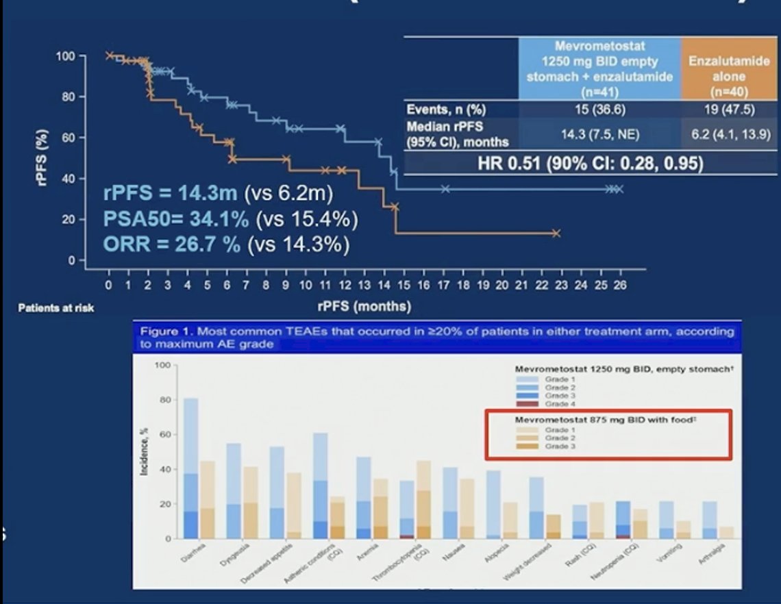 Mevrometostat, an EZH2 inhibitor, was evaluated in combination with enzalutamide and demonstrated antitumor activity at the higher dose administered on an empty stomach. At that dose, median rPFS was 14.3 months, with a PSA50 response rate of 34.1% and an objective response rate of 26.7%, compared with enzalutamide alone. However, increased gastrointestinal toxicity was observed at this schedule, prompting dose adjustment. Administration at a lower dose with food improved tolerability while maintaining similar efficacy signals. Overall, the data support biologic activity of EZH2 inhibition in combination with AR blockade in mCRPC.