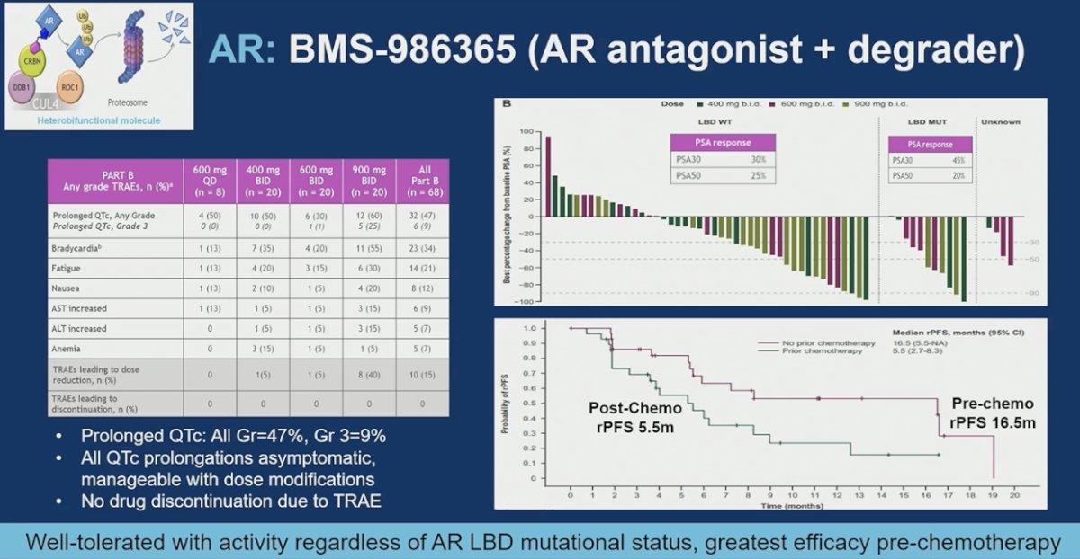 Moreover, BMS-986365 is a dual-function AR antagonist and degrader that has demonstrated activity across AR-LBD–mutant and wild-type mCRPC. Responses were observed in both molecular subsets, supporting the rationale that AR remains a valid target even in the presence of ligand-binding domain alterations. Activity appeared more pronounced in the pre-chemotherapy setting, with a median rPFS of 16.5 months compared with 5.5 months post-chemotherapy. The safety profile was manageable, with QTc prolongation reported in a subset of patients, predominantly low-grade and asymptomatic, and controlled with dose modification. Importantly, no treatment discontinuations occurred due to QTc events. The ongoing phase 3 trial is expected to further clarify efficacy across AR-LBD mutational subgroups.