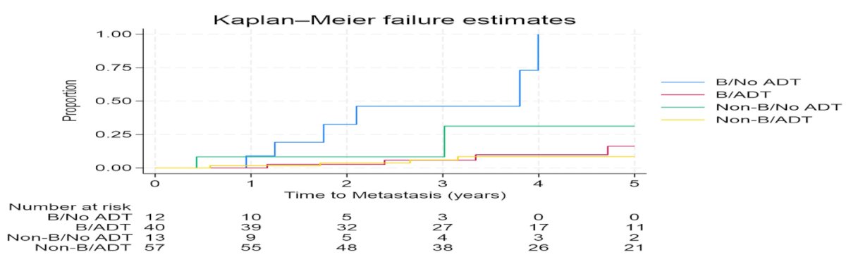 In the competing risks analysis (19 metastatic events and 3 competing deaths), ADT was strongly associated with a lower hazard of metastasis in Luminal B tumors (subdistribution hazard ratio 0.10, p<0.001, reference = Luminal B without ADT). Non–Luminal B tumors without ADT trended toward lower hazard compared with Luminal B without ADT, though this did not reach statistical significance. The interaction term between subtype and ADT was not statistically significant, suggesting no clear evidence that the association between ADT and metastasis differed by PAM50 subtype. Descriptively, the highest metastasis incidence was observed in Luminal B patients who did not receive ADT.