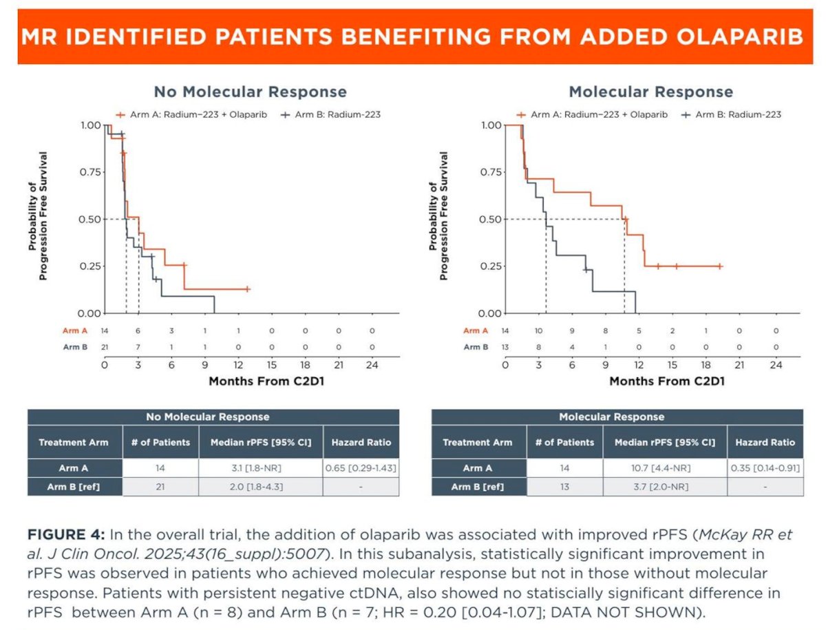 Lastly, molecular response identified patients most likely to benefit from the addition of olaparib. Among patients without molecular response at C2D1, median rPFS was similar between arms (3.1 months with radium-223 + olaparib vs 2.0 months with radium-223 alone; HR 0.65), indicating limited incremental benefit. In contrast, among patients who achieved molecular response, the addition of olaparib was associated with a marked improvement in rPFS (10.7 vs 3.7 months; HR 0.35), supporting ctDNA dynamics as a predictive biomarker of PARP inhibitor benefit. Patients with persistently negative ctDNA also demonstrated favorable outcomes, with no statistically significant difference between treatment arms, suggesting this subgroup may derive less additional benefit from treatment intensification.