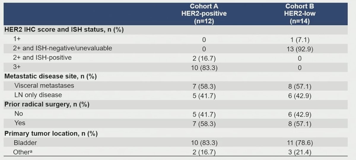 Complete response was observed in patients primarily with IHC 2+/3+ tumors, those with visceral metastasis or lymph node only disease, and those with or without prior radical surgery: