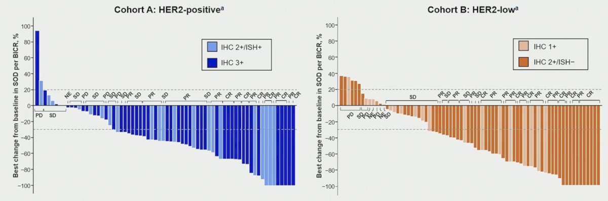 For the best percentage change in the sum of diameters from baseline, responses were achieved across HER2 expression levels:&nbsp;