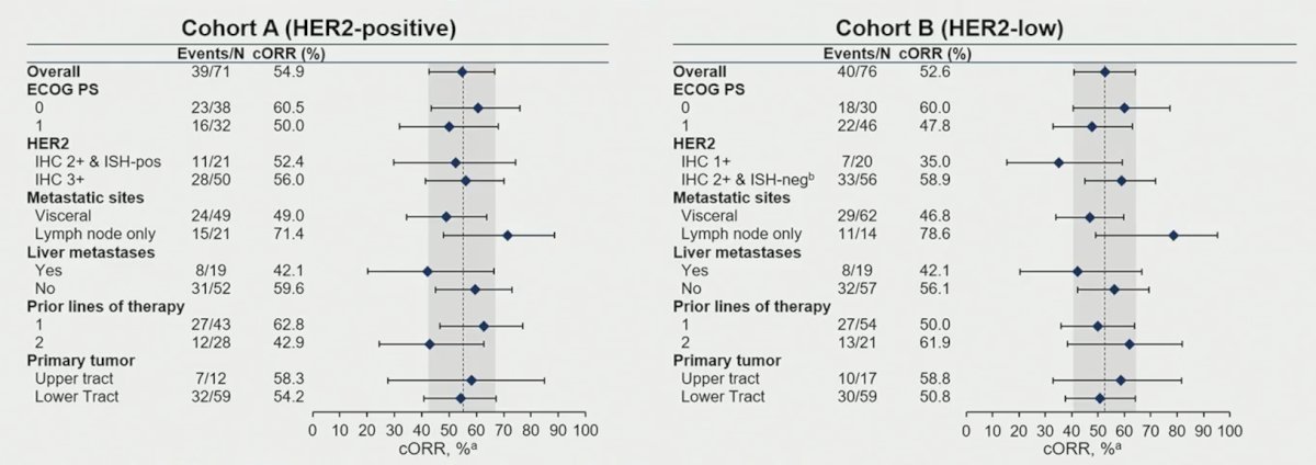 Objective response rate was consistent across subgroups, including those with different levels of HER2 expression. A numerically higher objective response rate was observed in the subgroup with lymph node metastases for both cohorts, and the objective response rate was similar in subgroups with upper versus lower tract primary tumors, 1 versus 2 prior lines of therapy, and across HER2 expression levels:&nbsp;