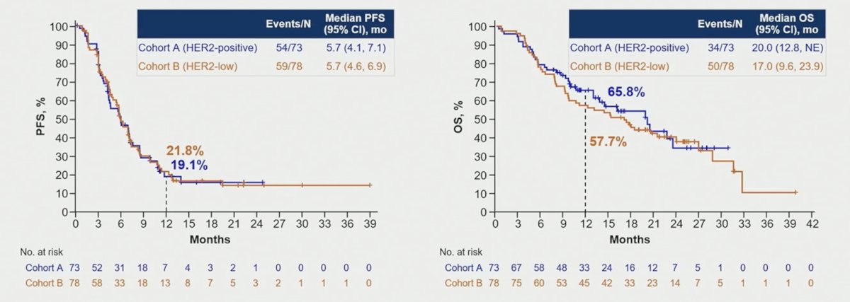 The median progression free survival by blinded independent central review was 5.7 months in both cohorts, and the median overall survival was 20.0 months and 17.0 months in Cohort A and B, respectively: