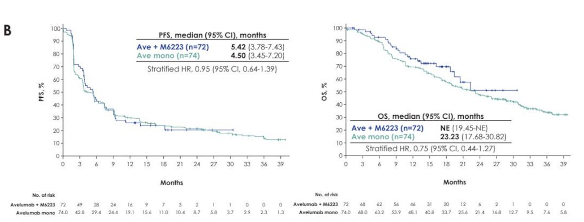 In the avelumab plus M6223 arm compared with avelumab monotherapy, median progression-free survival was 5.42 versus 4.50 months (HR 0.95; 95% CI 0.64–1.39). Median overall survival was not reached in the combination arm compared with 23.23 months with avelumab alone (HR 0.75; 95% CI 0.44–1.27), suggesting a numerical OS improvement without a clear PFS advantage.
