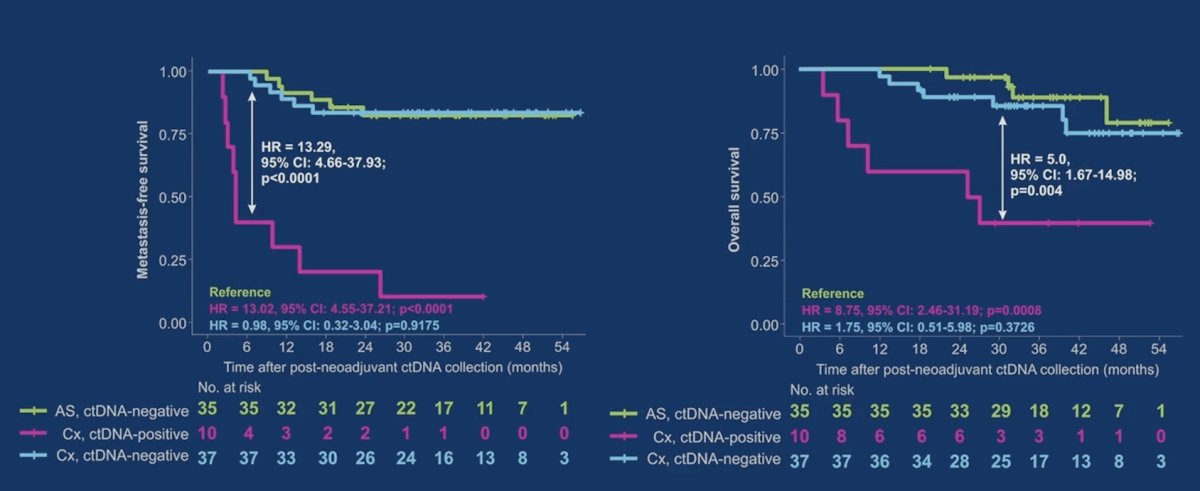 Similar outcomes in ctDNA negative patients were noted regardless of treatment (active surveillance or cystectomy):
