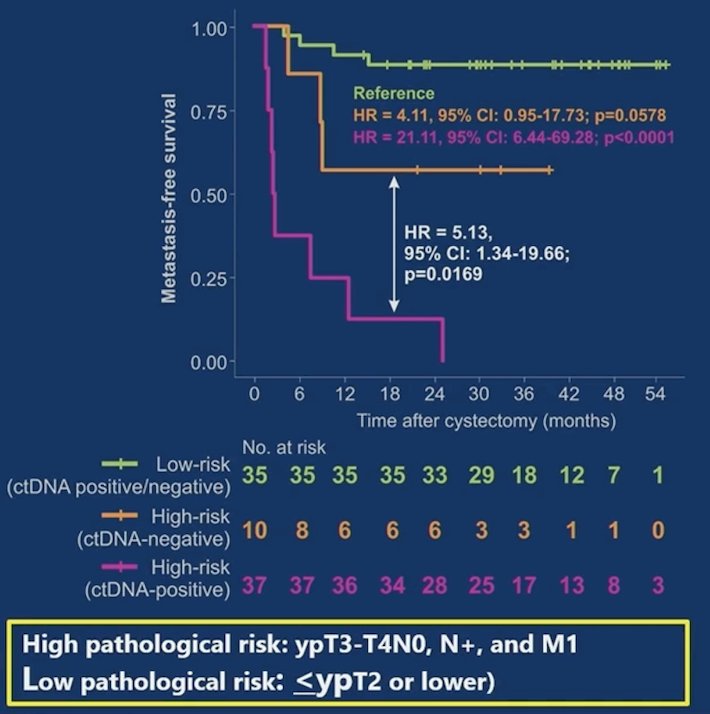 Among cystectomy patients, post-neoadjuvant therapy ctDNA status provided prognostic information beyond pathologic staging: