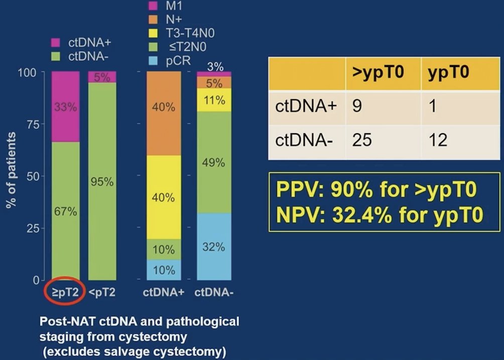 Moreover, post-neoadjuvant therapy ctDNA positivity predicted residual disease, but ctDNA negativity did not predict ypT0 in cystectomy patients: