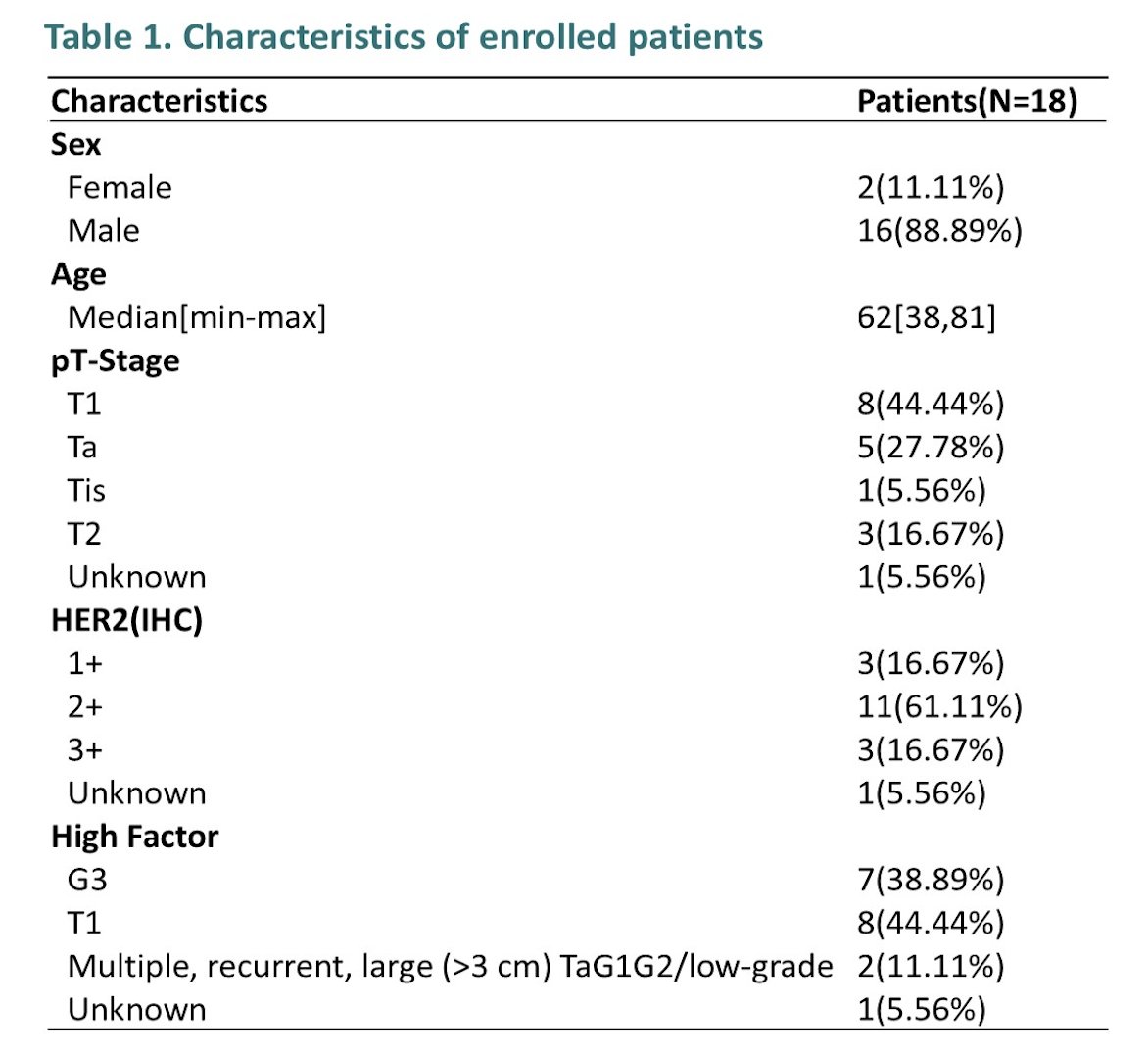 Between June 2024 and October 2025, 18 patients were enrolled. Median age was 63 years, and the majority were male. HER2 expression levels were distributed as follows: 16.7% IHC 1+, 61.1% IHC 2+, and 16.7% IHC 3+. Nearly half had pT1 disease, 38.9% had grade 3 tumors, and a subset had multiple, recurrent, or tumors larger than 3 cm.