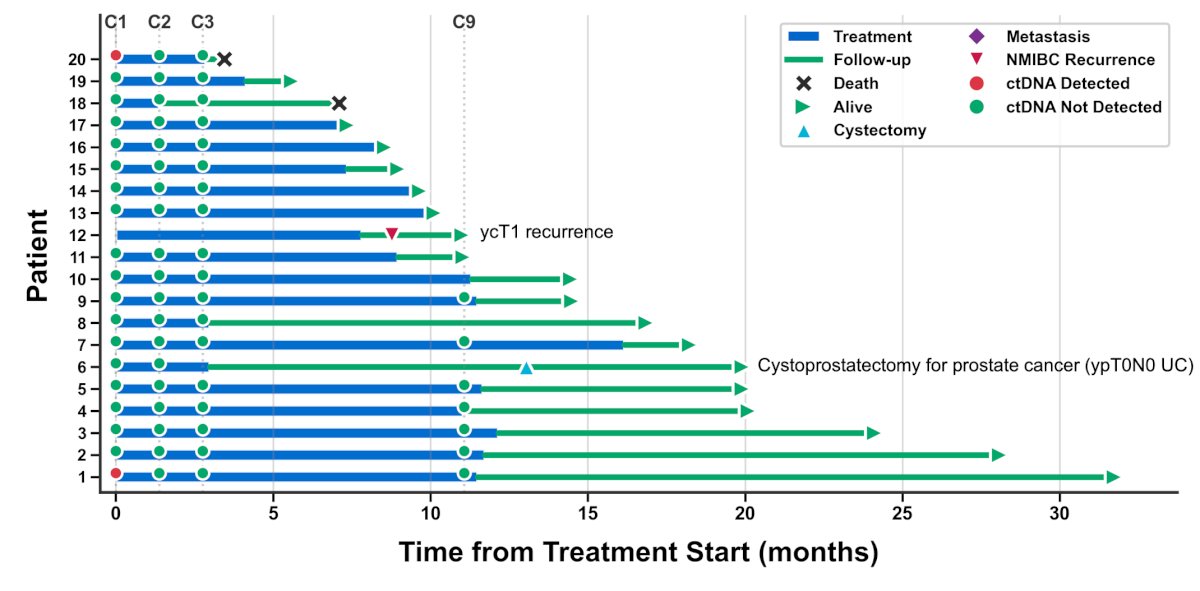 Cycle 2 ctDNA was undetectable in 100% patients with a clinical complete response. Among patients without a clinical complete response, undetectable cycle 2 ctDNA was associated with improved metastasis-free survival (HR 14.8, 95% CI 1.4-2000, p&nbsp;=&nbsp;0.02). The following Swimmer plot highlights the outcomes in patients achieving a clinical complete response:&nbsp;