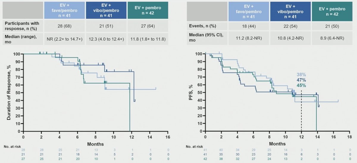 The median duration of response was not reached for Arm A, was 12.3 months for Arm B, and was 11.8 months for Arm C. The median progression-free survival was 11.2 months for Arm A, 10.8 months for Arm B, and 8.9 months for Arm C: