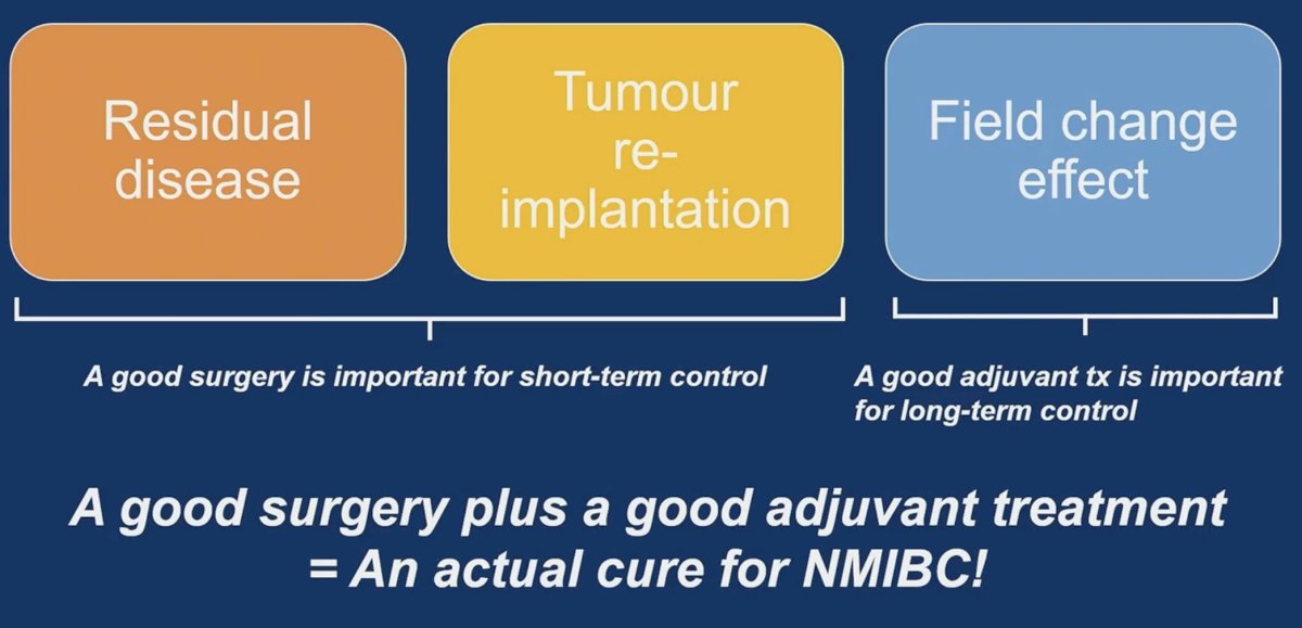 The mechanisms underlying recurrence in NMIBC can broadly be categorized into three pathways: residual disease following incomplete resection, tumor reimplantation due to intraoperative tumor cell dissemination, and the field change effect associated with underlying urothelial carcinogenesis.