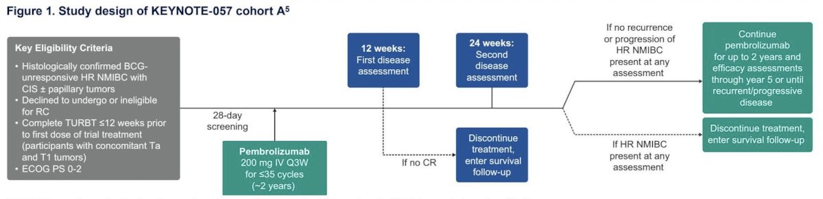 Adults in cohort A with histologically confirmed BCG-unresponsive high-risk non-muscle invasive bladder cancer with CIS who were ineligible for or declined radical cystectomy received pembrolizumab 200 mg IV Q3W for ≤2 years: