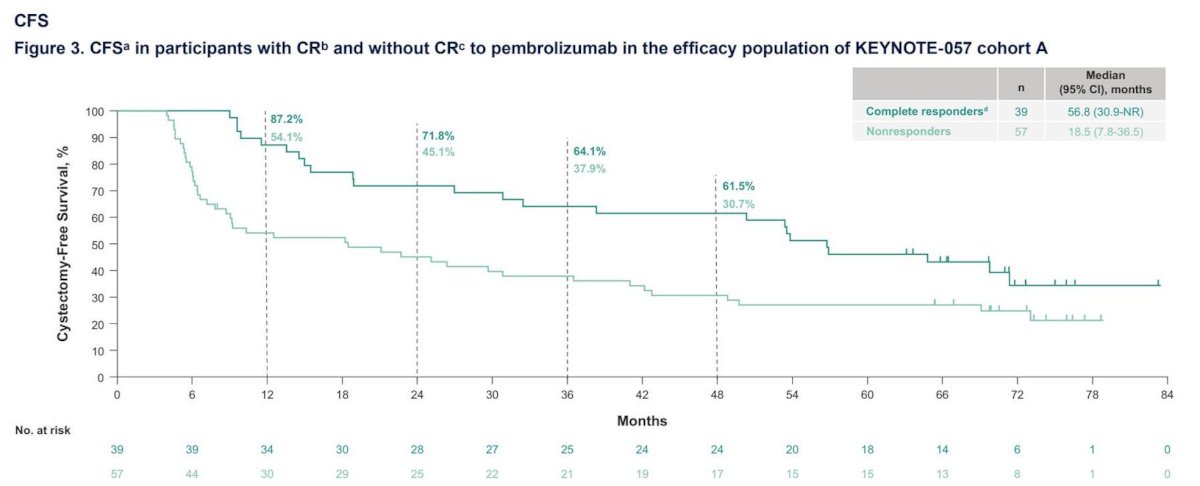 The median cystectomy free survival (95% CI) was 56.8 months (30.9-NR) for patients with complete response and 18.5 months (7.8-36.5) for patients without complete response, with 12-month cystectomy free survival rates of 87.2% and 54.1%, respectively: