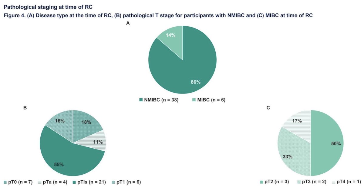The median time to cystectomy was 15.0 months (range: 9.0-69.8) for patients with a complete response and 6.4 months (4.0-42.2) for patients without a complete response. There were 13 of 44 patients who underwent subsequent therapy/procedures following pembrolizumab discontinuation, including intravesical therapy (n = 6), neoadjuvant systemic therapy (n = 5), treatment for locally advanced/metastatic urothelial carcinoma (n = 5), and radiation therapy (n = 2). Additionally, six patients (13.6%) had upstaging to muscle-invasive bladder cancer at radical cystectomy:
