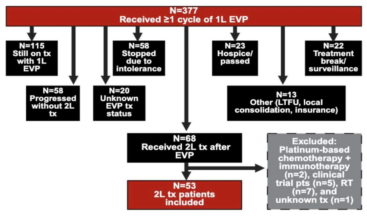 A total of 377 patients initially received first-line EVP. Among these, 115 remained on first-line therapy at the time of analysis, 58 progressed without receiving second-line therapy, and 20 had unknown subsequent treatment status. A subset of patients discontinued therapy for intolerance, were lost to follow-up, or transitioned to consolidation strategies. Ultimately, 68 patients received second-line therapy following EVP, and 53 patients with evaluable data were included in the second-line outcomes analysis.