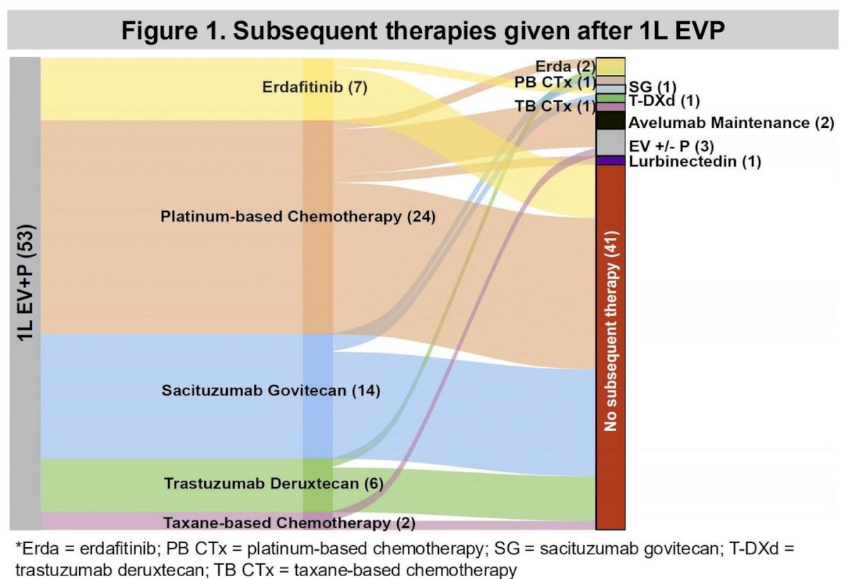 Subsequent treatment patterns following progression on EVP demonstrated substantial heterogeneity. The most commonly administered second-line therapy was platinum-based chemotherapy (n=24). Other therapies included sacituzumab govitecan (n=14), erdafitinib (n=7), trastuzumab deruxtecan (n=6), taxane-based chemotherapy (n=2), and T-DXd–based regimens in a small number of patients. These treatment patterns illustrate the diverse strategies used in clinical practice following progression on EVP.