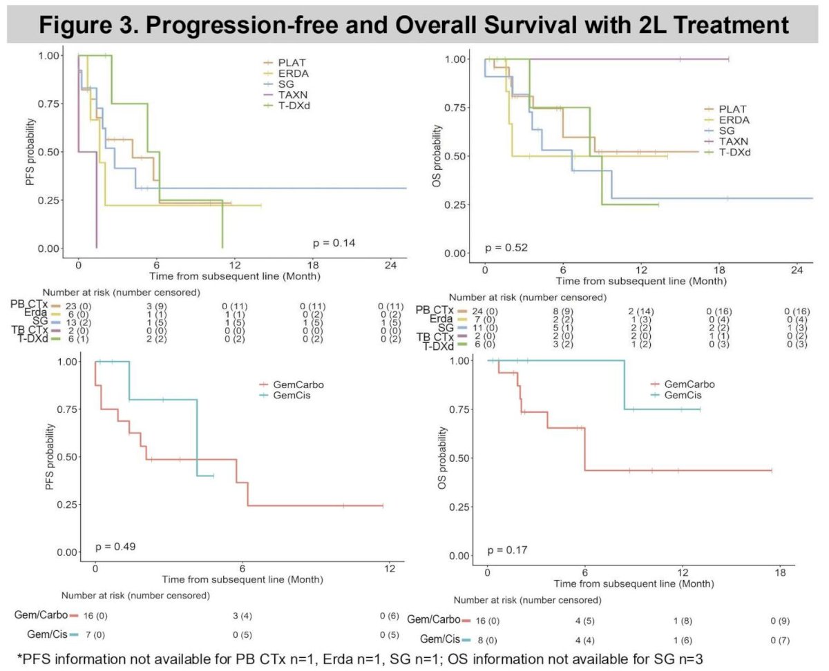 Kaplan–Meier analyses of progression-free survival and overall survival by second-line treatment type demonstrated overlapping survival curves, further reflecting the limited durability of currently available therapies in the post-EVP setting.