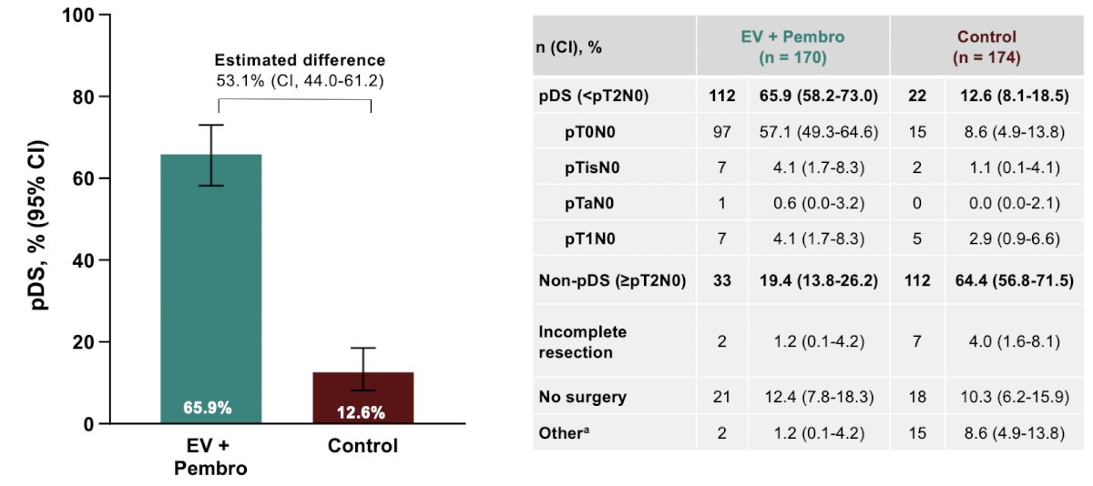 Pathological downstaging rate was higher with enfortumab vedotin + pembrolizumab versus control (65.9% versus 12.6%; estimated difference 53.1%; 95% CI 44.0–61.2):&nbsp;