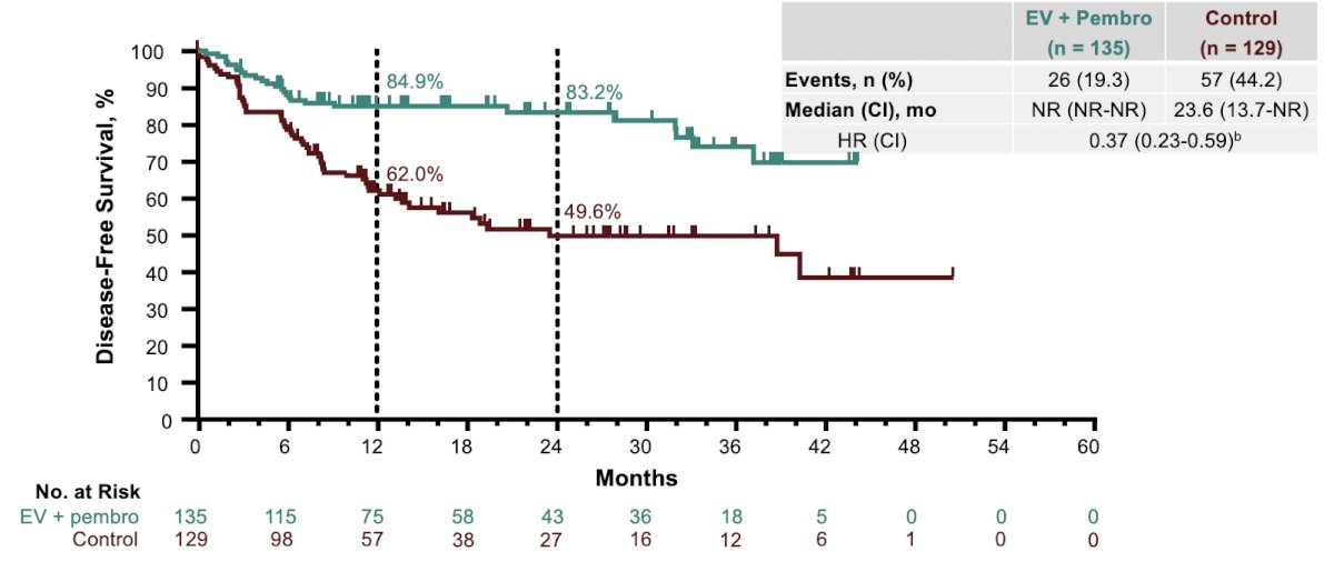 Among patients evaluated for disease-free survival (n&nbsp;=&nbsp;135 in enfortumab vedotin + pembrolizumab arm; n&nbsp;=&nbsp;129 in control arm), the median disease free survival was not reached versus 23.6 months (HR 0.37, 95% CI 0.23–0.59):&nbsp;