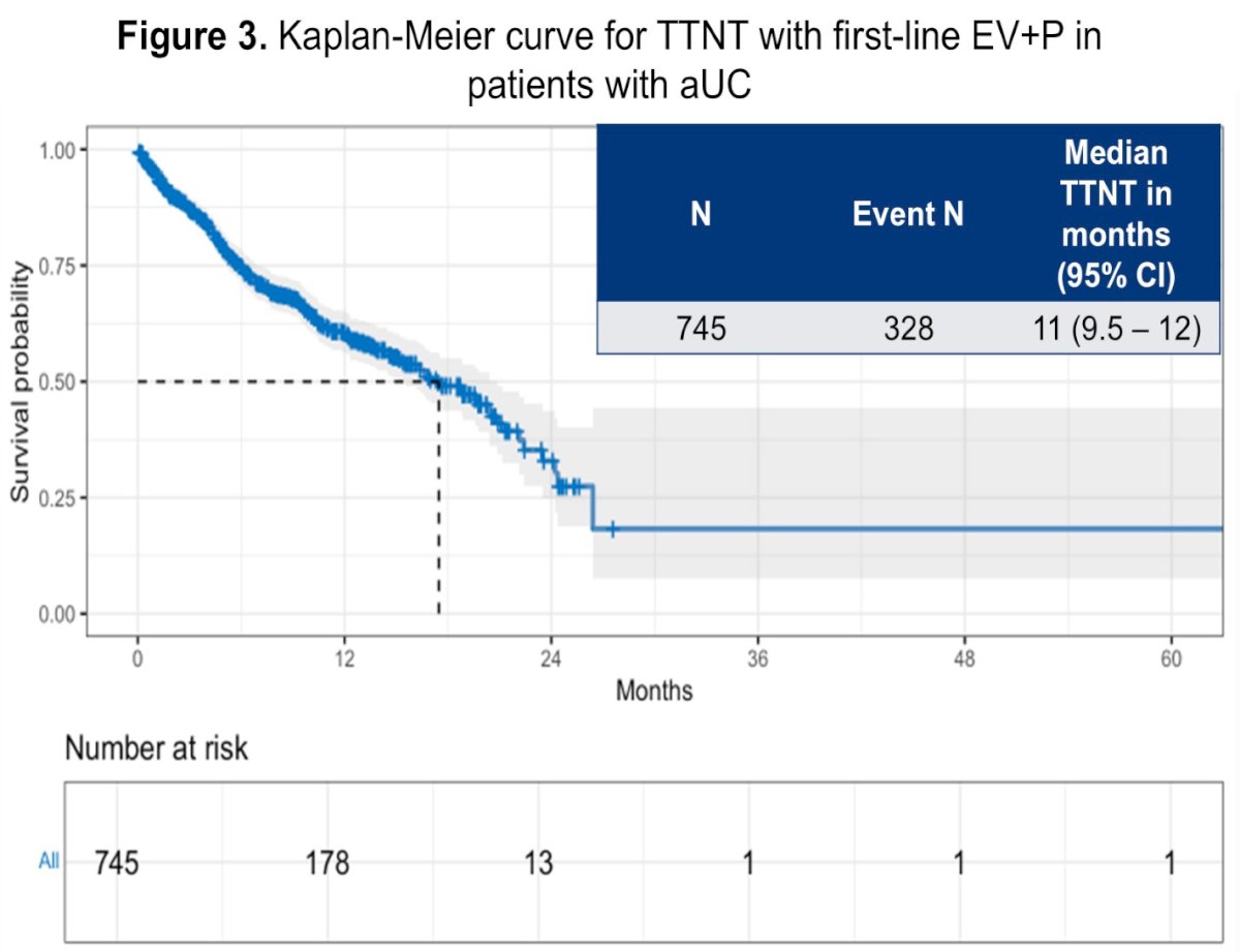 Time-to-next-therapy outcomes were also evaluated. The median TTNT was 11 months (95% CI 9.5–12 months), with 328 events observed (44%). The Kaplan–Meier TTNT curve demonstrated a similar early decline, reflecting transition to subsequent therapy or death within the first year of treatment for a substantial proportion of patients.