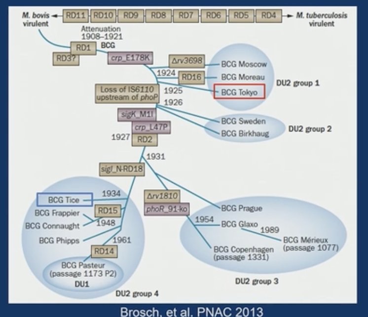 Dr. Svatek highlighted that there are various BCG strains available worldwide; however only the TICE strain is currently approved in the United States. Given the current shortage of BCG in the United States, there is a clear need to evaluate additional potential candidate strains. These strains differ in their genealogy, which has important immunologic implications that may impact cancer response rates.1