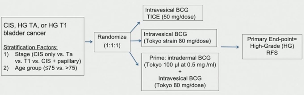 The primary endpoint was high-grade recurrence-free survival (HG-RFS).