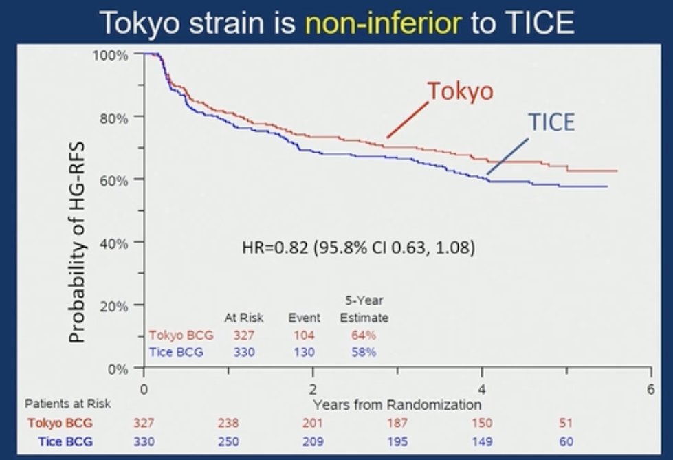 In the overall cohort, the Tokyo strain was shown to be non-inferior to TICE (HR for HG-RFS: 0.82, 95.8% CI: 0.63–1.08).