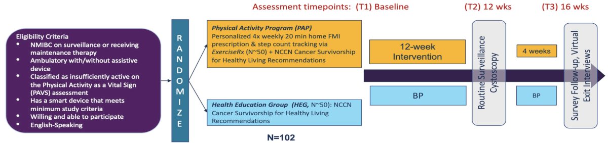 EMPOWER will recruit and randomize 100 patients in a 1:1 ratio to the physical activity program or the health education arms. The physical activity program arm will be provided with a 12-week personalized, home-based exercise program (~20-30 minutes, 4x weekly) via the ExerciseRx&nbsp;app as well as a weekly graded progression in personalized step count goals. The health education arm&nbsp;will receive printed education on guideline-based exercise recommendations in line with NCCN Survivorship for Healthy Living Guidelines: