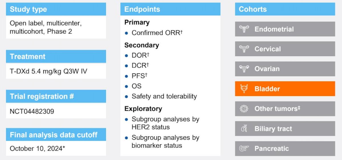 The primary endpoint was investigator-confirmed objective response rate, with secondary endpoints including duration of response, progression-free survival, overall survival, and safety.