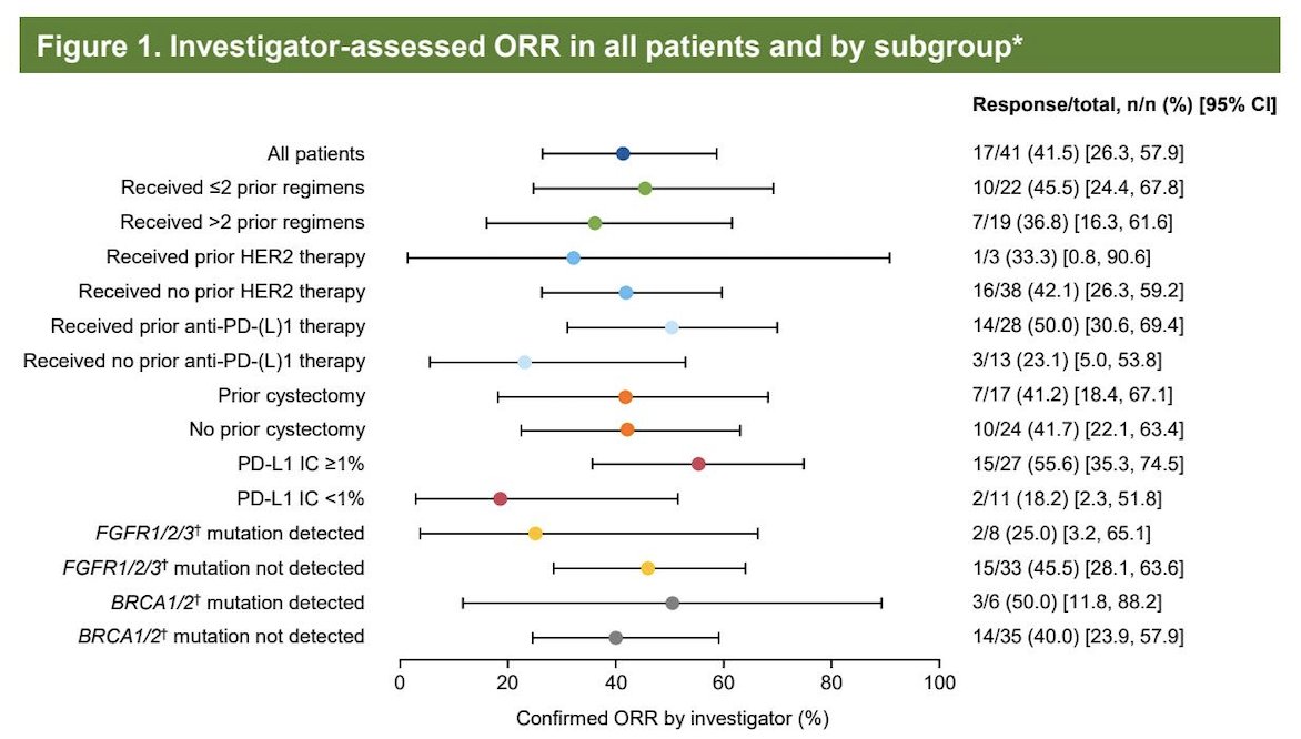 Investigator-assessed objective responses were observed across a broad range of prior treatment exposures and tumor biomarker subgroups. Responses were seen irrespective of number of prior regimens, prior anti–PD-(L)1 therapy, prior cystectomy, and prior HER2-directed therapy. Activity was also observed across biomarker-defined groups, including PD-L1 expression levels and FGFR1/2/3 and BRCA1/2 mutation status, supporting consistent antitumor activity across clinically diverse patient subsets.