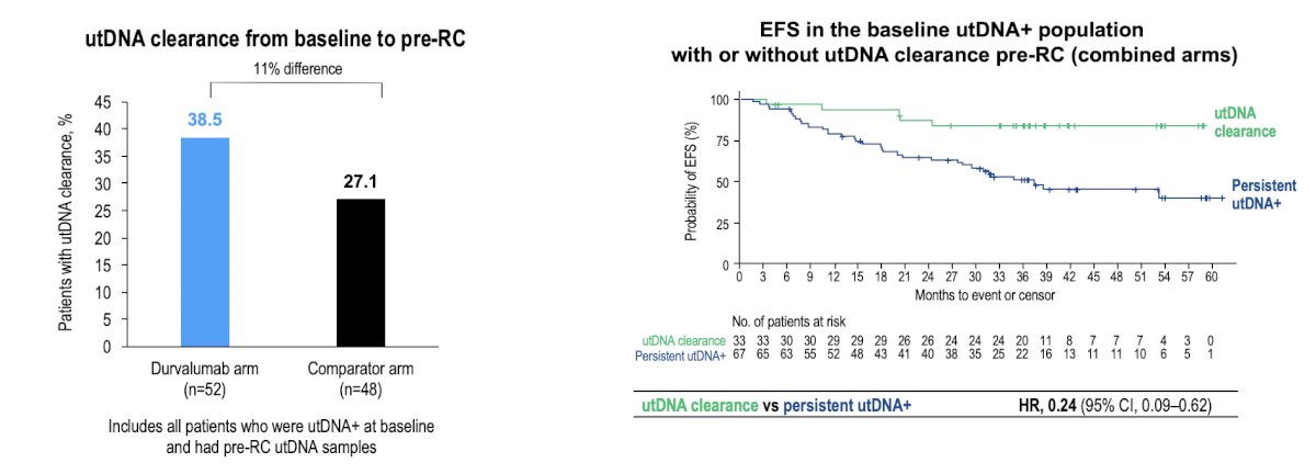 Of 1,063 patients, 265 (25%) comprised the biomarker-evaluable population (134 durvalumab arm; 131 comparator arm). At baseline, lower utDNA levels were associated with longer event-free survival (low versus high utDNA HR 0.65, 95% CI 0.40−1.04). From baseline to pre-radical cystectomy, utDNA positive rate decreased from 85% to 55%. utDNA clearance was associated with longer event-free survival (HR 0.24, 95% CI 0.09−0.62) and was 11% higher in the durvalumab versus comparator arm (38.5% versus 27.1%):