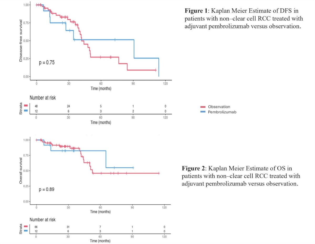 Recurrence occurred in 7/15 (46.7%) with pembrolizumab and 25/75 (44.6%) with observation. There was no significant difference in median disease-free survival (p = 0.75) or overall survival (p = 0.89) between groups. Median disease-free survival was 90.7 months (95% CI, 27.2–NR) with pembrolizumab versus 41.9 months (95% CI, 39.4–NR) with observation. The median overall survival was not reached (95% CI, 65.1–NR) with pembrolizumab versus 52.4 months (95% CI, 44.4–NR) with observation:&nbsp;