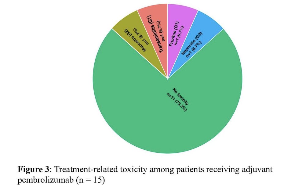 Treatment related adverse events were observed in 26.7% (4/15) of patients, comprising three grade 1 events and one grade 3 event:
