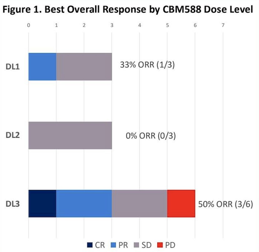 Best overall response among the 12 patients included 4 with objective responses (1 complete response, 3 partial responses), 7 had stable disease, and 1 had progressive disease:&nbsp;