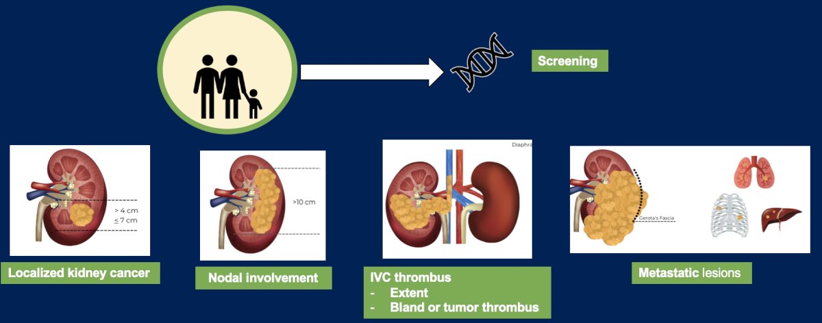There are several imaging scenarios for kidney cancer, including localized disease, nodal involvement, IVC thrombus (assessing extent and bland versus tumor thrombus), and metastatic disease assessment: