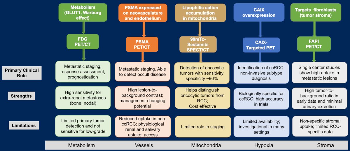 What scenarios can PET scans still be useful in? Dr. Gulati notes that an FDG/PET (i) may improve prognostication in metastatic RCC, (ii) may assist with treatment decisions such as incorporation of metastasectomy or stereotactic body radiotherapy in non-metastatic RCC, and (iii) may be incorporated to improve detection of bone metastases. The following figure highlights biology driven PET-radiotracers in RCC: