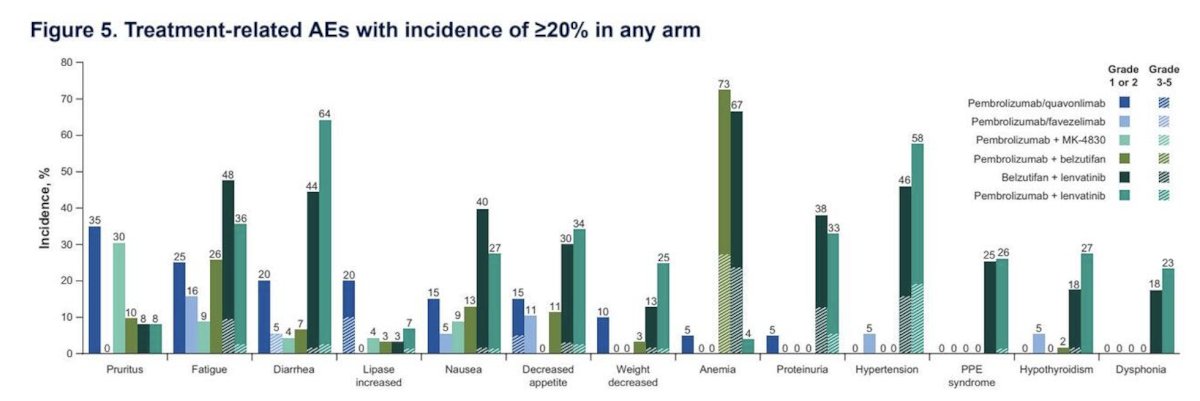 Across the six treatment arms, the most common treatment-related adverse events included anemia, diarrhea, hypertension, fatigue, and proteinuria: