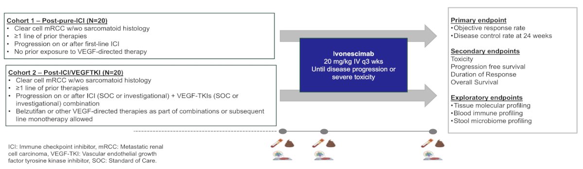 This phase II, single-arm, open-label, investigator-initiated study evaluates the activity of ivonescimab monotherapy in patients with metastatic clear cell RCC previously treated with immune checkpoint inhibitors. Cohort 1 (n = 20) enrolls patients with no prior exposure to VEGF-directed agents, while Cohort 2 (n = 20) enrolls patients who have previously received VEGF-directed therapy. Ivonescimab is administered at 20 mg/kg IV dose every 3 weeks until disease progression or unacceptable toxicities. Each cohort follows a time-to-event Bayesian Optimal Phase 2 (TOP) design, with simultaneous monitoring of two efficacy endpoints: objective response rate, defined as complete or partial response at any time, and disease control rate, defined as complete response, partial response or stable disease at 24 weeks, per RECIST 1.1: